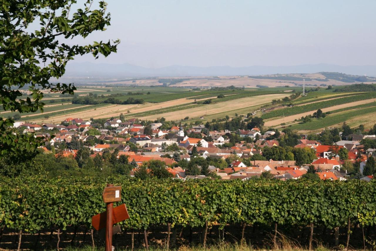 Weingut Zur Schlafmuetze Hotel Herrnbaumgarten Exterior photo